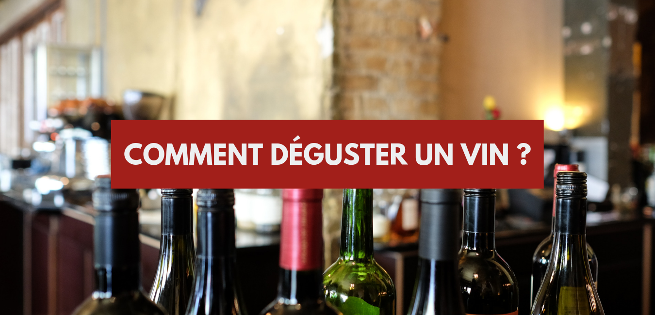 Dégustation de vins blancs : Savez-vous les déguster ?
