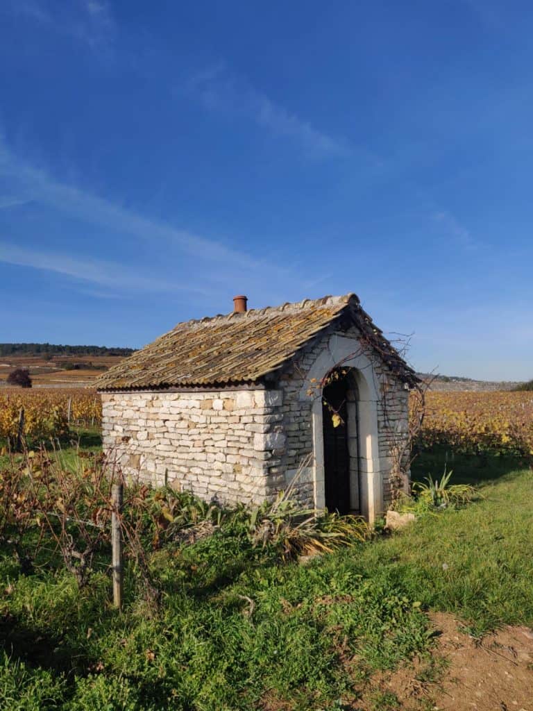 Clos des Épeneaux - Bourgogne