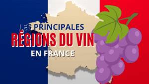 Lire la suite à propos de l’article Où fait-on le meilleur vin en France ?